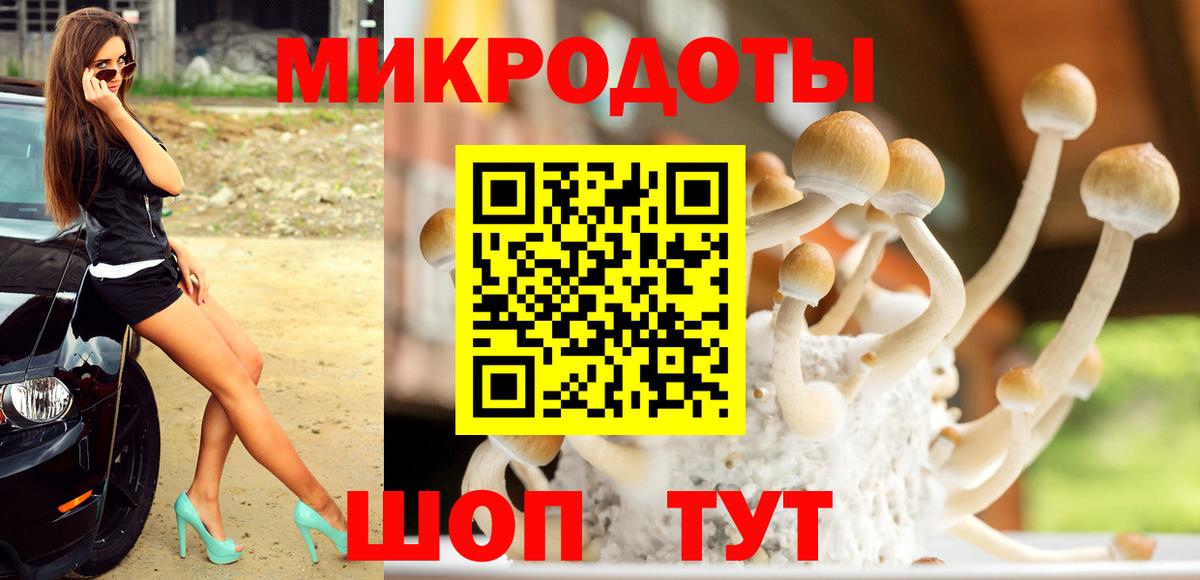 Кировск  Галлюциногенные грибы прущие грибы  Вход с VPN 